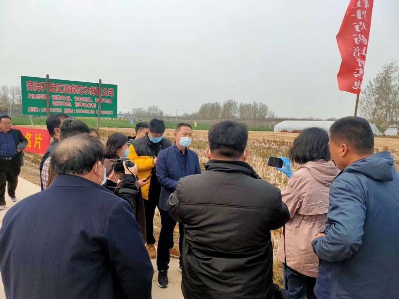 市牡丹產(chǎn)業(yè)中心、市宣傳部的領導及各大媒體來公司基地考察指導工作