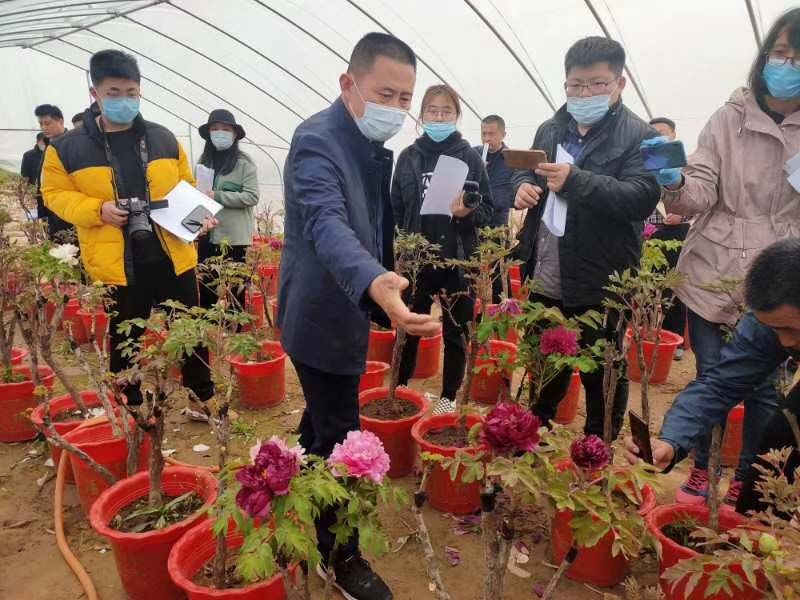 市牡丹產(chǎn)業(yè)中心、市宣傳部的領導及各大媒體來公司基地考察指導工作